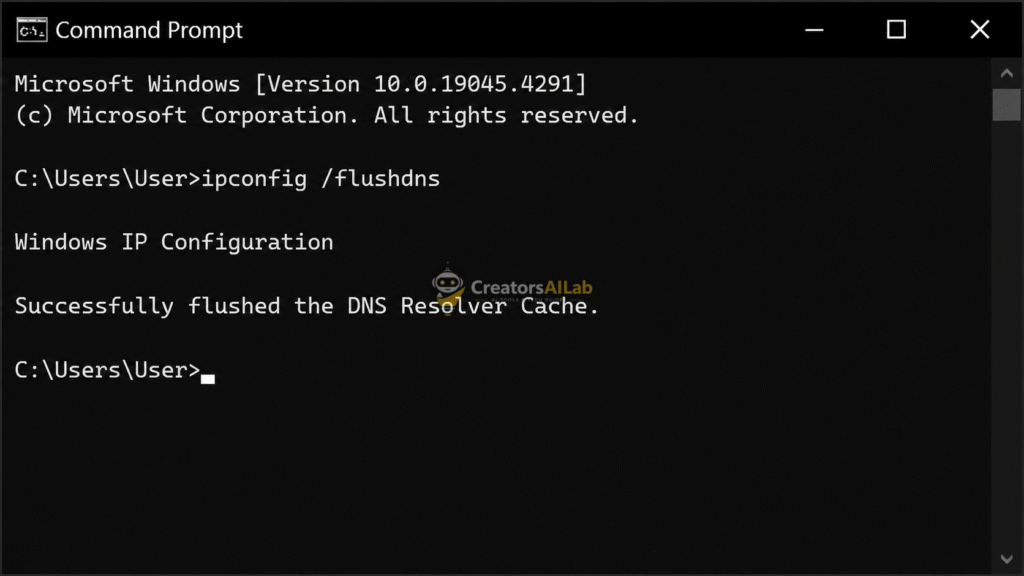 Flushing DNS to execute the ElevenLabs unusual activity fix